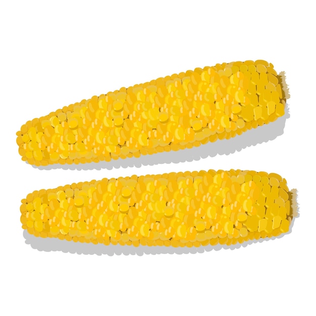 кукуруза на белом фоне векторная иллюстрация