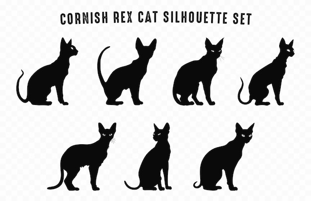 Cornish Rex Cat Silhouettes Vector Bundle Set of Black Cats Silhouette collection