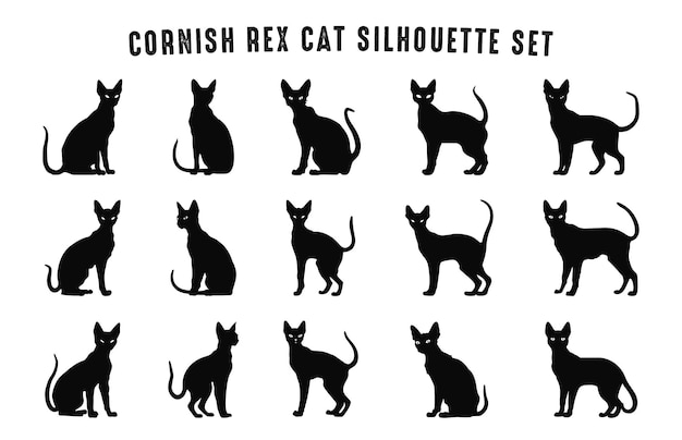 Cornish Rex Cat Silhouettes Vector Bundle Set van zwarte katten Silhouette collectie