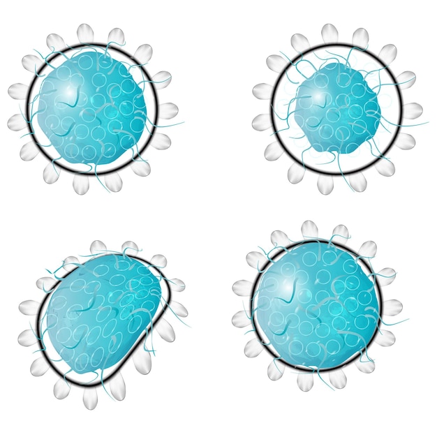 Coronavirus 2019ncov Illustration for the epidemic Vector