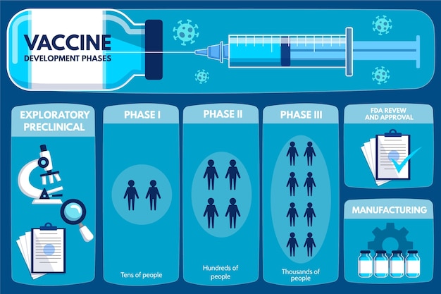 Infografica sulle fasi del vaccino contro il coronavirus