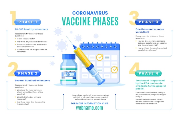 Vettore infografica sulle fasi del vaccino contro il coronavirus