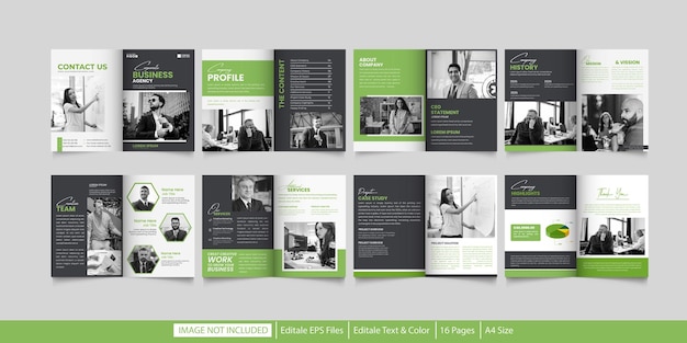 Corporate business brochure layout design