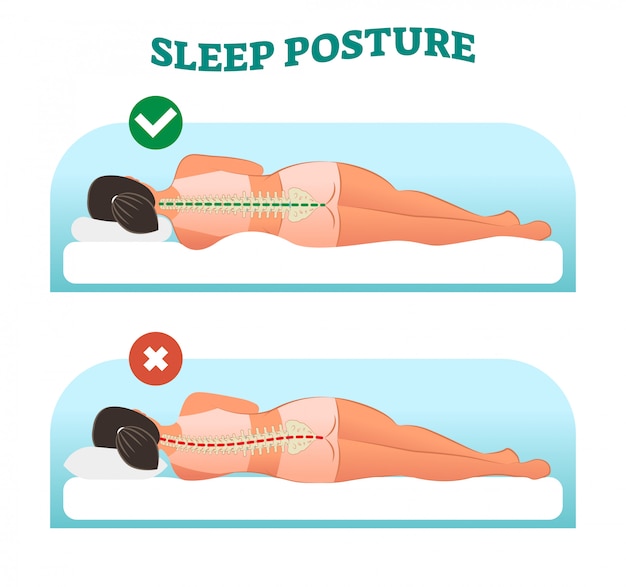 Vector correct and healthy sleeping posture for your neck and spine