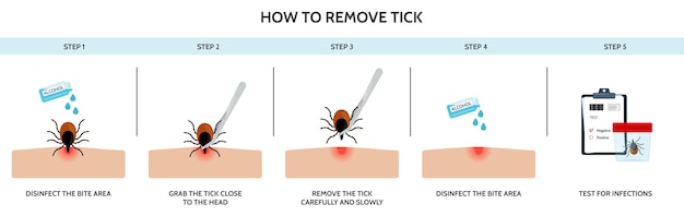 ダニ虫を正しく駆除する正しい方法ダニによる感染の予防