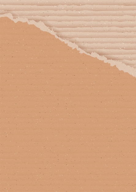 Corrugated brown cardboard background with torn peace