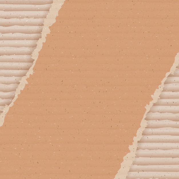 Vector corrugated cardboard background. ripped carton wallpaper.