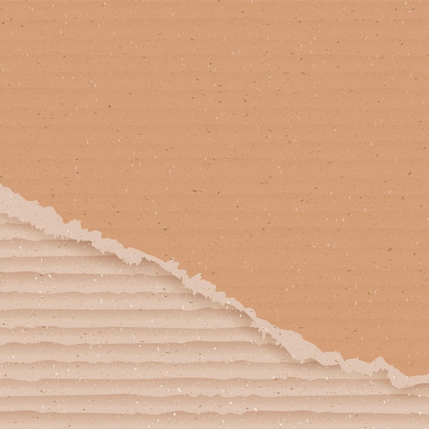 Corrugated cardboard background