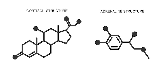 Vettore icone di cortisolo e adrenalina struttura molecolare chimica dell'idrocortisone e dell'epinefrina