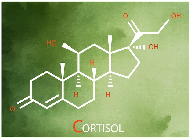 Vector cortisol formule vector dunne lijn icoon van cortisol moleculaire structuur