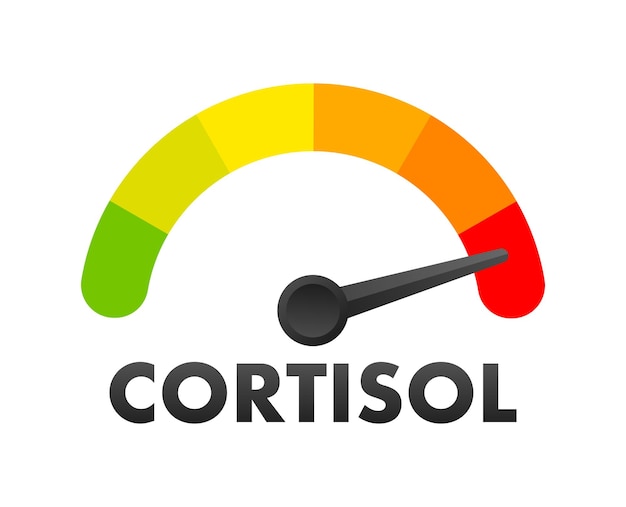 Vector cortisol level meter measuring scale cortisol level speedometer indicator vector stock illustrati