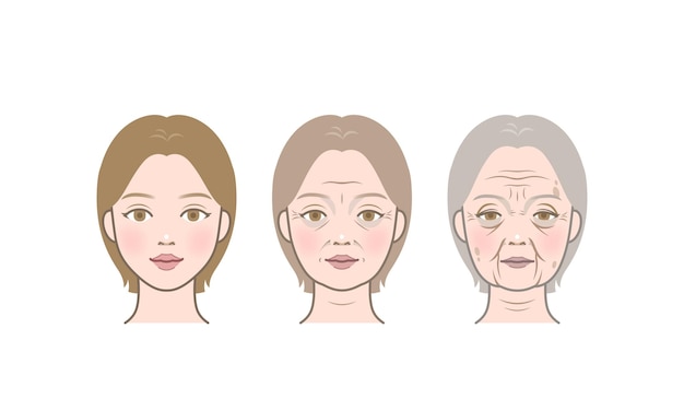 Vector cosmetic skin trouble_woman skin aging process_wrinkles