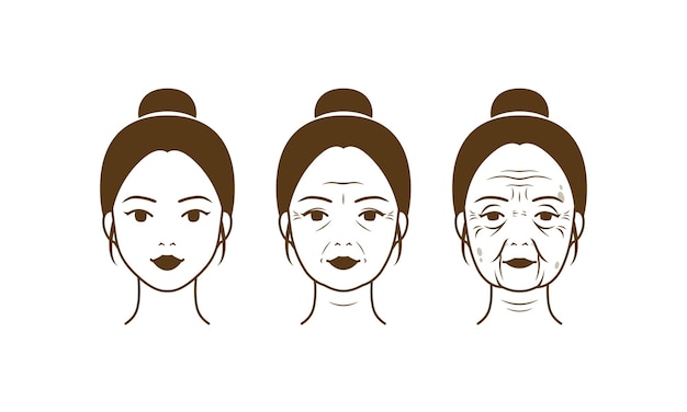 ベクトル 美容皮膚の問題_女性の皮膚の老化プロセス_<unk>