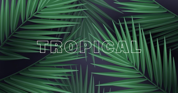 Vector cosmetics or care products labels with tropical palm leaves realistic 3d vector illustration