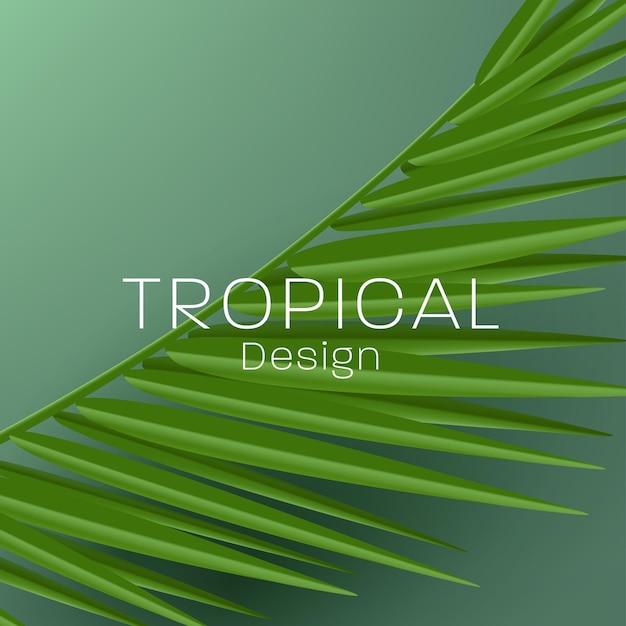 熱帯のヤシの葉のリアルな 3 d ベクトル図と化粧品やケア製品のラベル