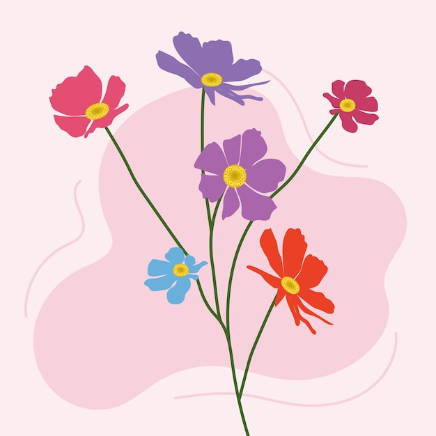 Illustrazione di clipart vettoriali di fiori di cosmo