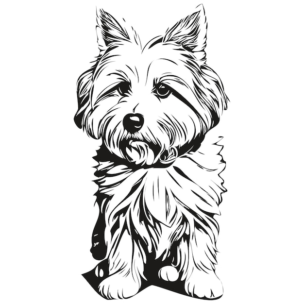 Coton De Tulear 개 품종 선 그리기 클립 아트 동물 손 그림 벡터 흑백 준비 티셔츠 인쇄