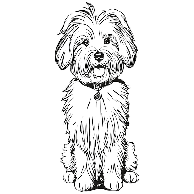コトン・ドゥ・チュレア犬は、黒と白のリアルなペットのシルエットでベクトル肖像画の顔漫画ビンテージ描画を彫刻しました