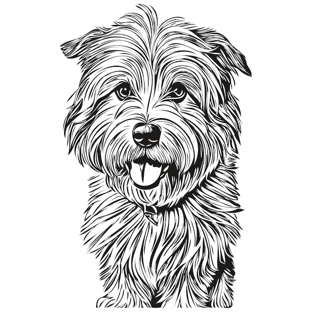 Coton de Tulear 개 얼굴 벡터 초상화 재미있는 개요 애완동물 그림 흰색 배경 스케치 드로잉