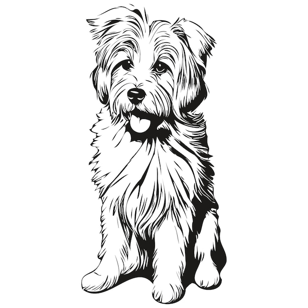 Coton de Tulear dog hand drawn logo drawing black and white line art pets illustration character dog illustration