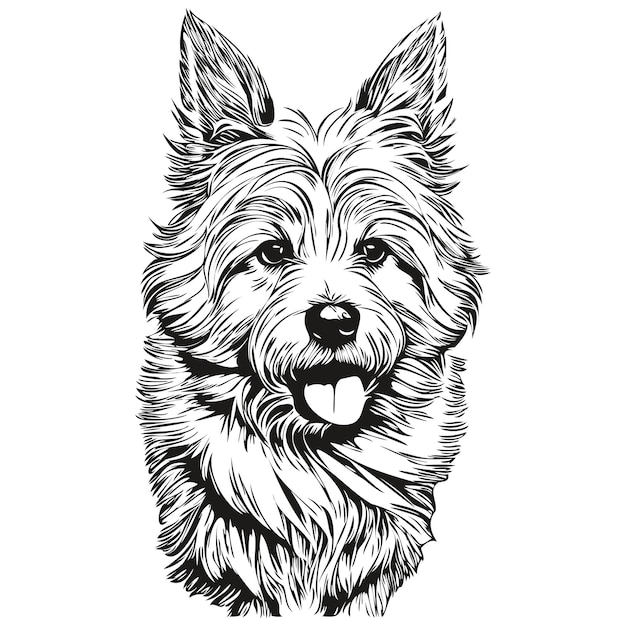 Coton de Tulear dog hand drawn logo drawing black and white line art pets illustration ready t shirt print