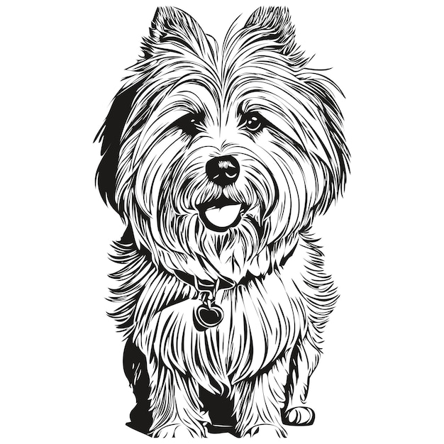 コトン・ド・チュレア犬インクスケッチ描画ヴィンテージタトゥーやTシャツプリント黒と白のベクトル現実的な品種ペット