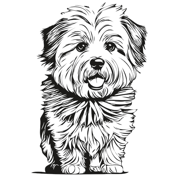 Coton de Tulear 개 로고 벡터 흑백 빈티지 귀여운 개 머리 새겨진 준비 티셔츠 인쇄