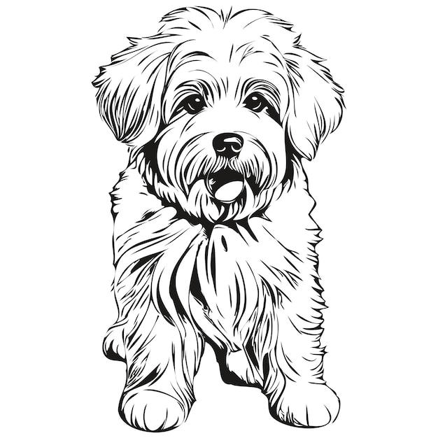 Котон де тулеар собака реалистичный карандашный рисунок в векторной линии иллюстрации лица собаки черно-белый реалистичный силуэт питомца
