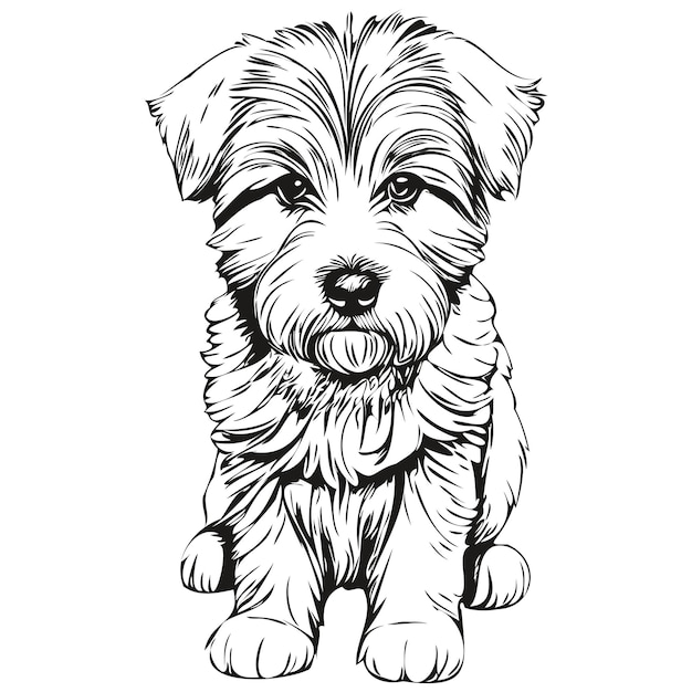 Coton de Tulear hond gegraveerd vector portret gezicht cartoon vintage tekening in zwart-wit schets tekening