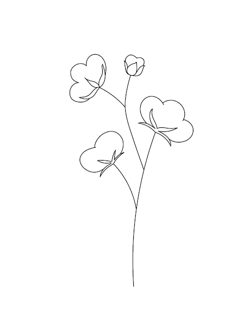 Cotton doodle flower Black and white with line art Hand Drawn Botanical Illustration