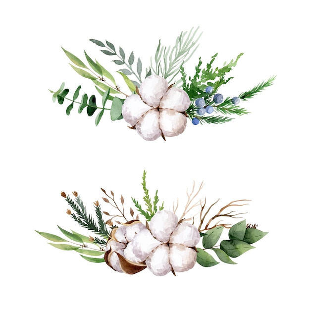 Cotton and evergreen plants hand drawn floral compositions. Vector set. Christmas deciorations