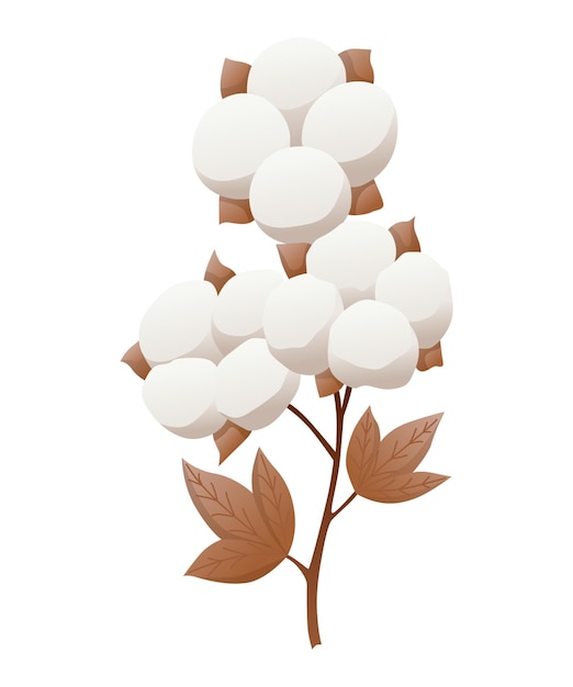 Vector cotton flower icon soft white plant for production of organic fabric cartoon eco friendly and organic symbol