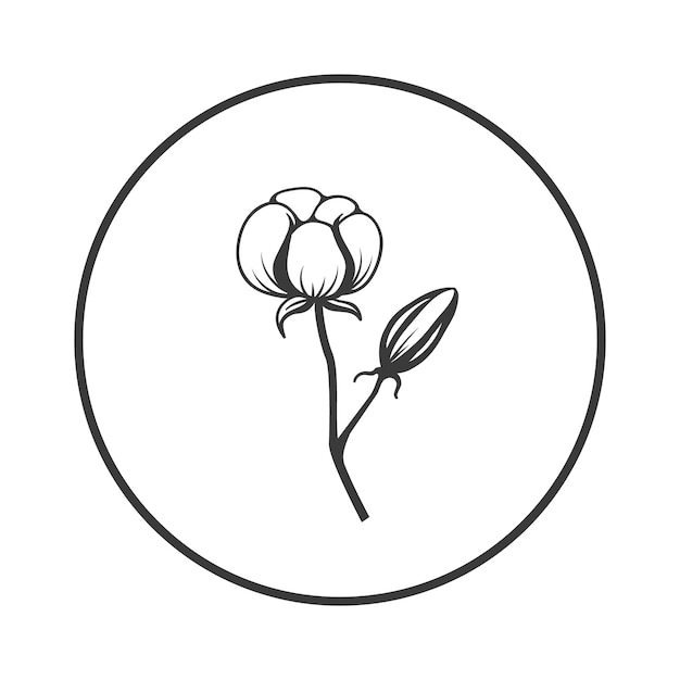 Cotton flower logo branch outline hand drawn design elements Wedding frame