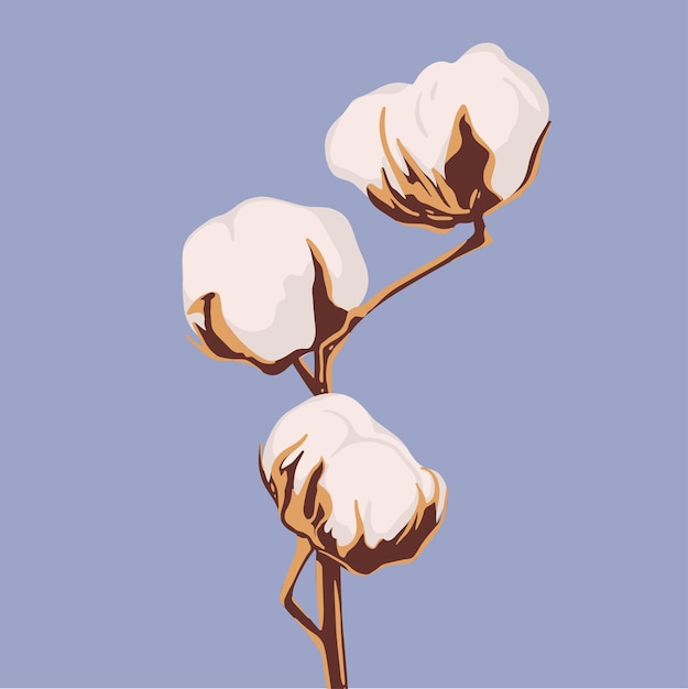 Vettore piante di fiori di cotone palline soffici illustrazione vettoriale disegnata a mano in stile piatto colori pastello