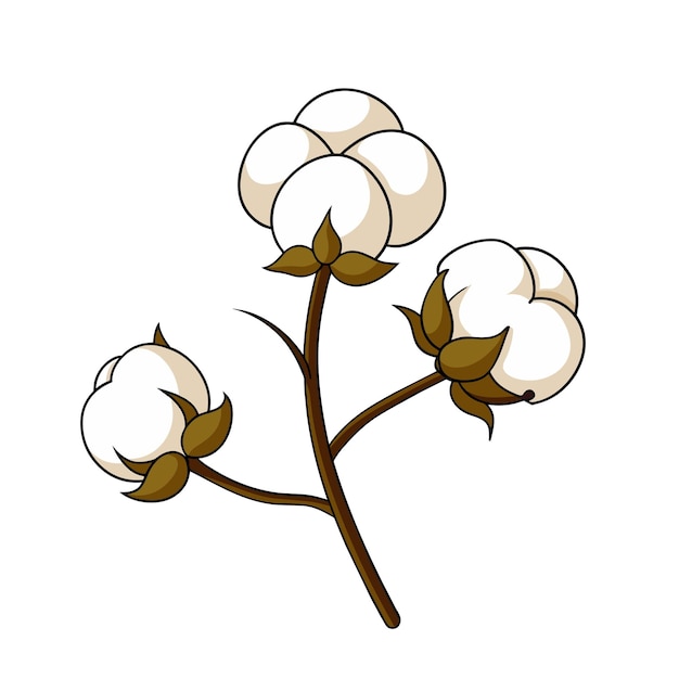 Вектор Цветок хлопчатобумажной травы в стиле мультфильма на белом фоне