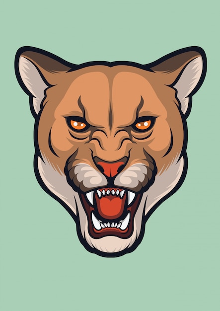 cougar angry face, puma concolor