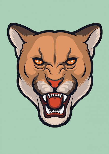 Vector cougar angry face, puma concolor