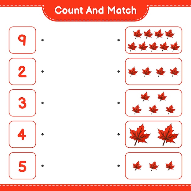 Count and match count the number of Maple Leaf and match with the right numbers