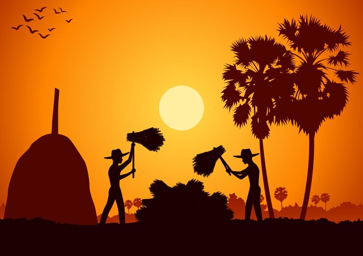 वेक्टर country life of asia man harvest rice by hit rice sheaf on sunrise time,silhouette
