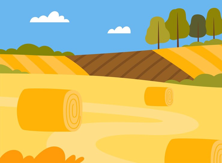 Vector country view with hay stacks on field and pasture land as green landscape vector illustration