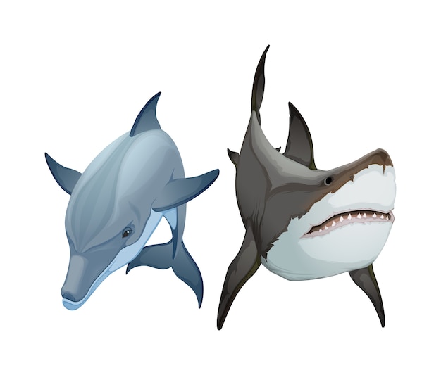 Vector couple of animals, dolphin and shark.
