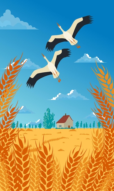 ウクライナの麦畑の上を飛んでいる鳥のカップル