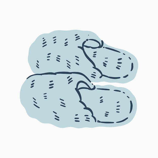 Vector a couple of hairy house slippers illustration