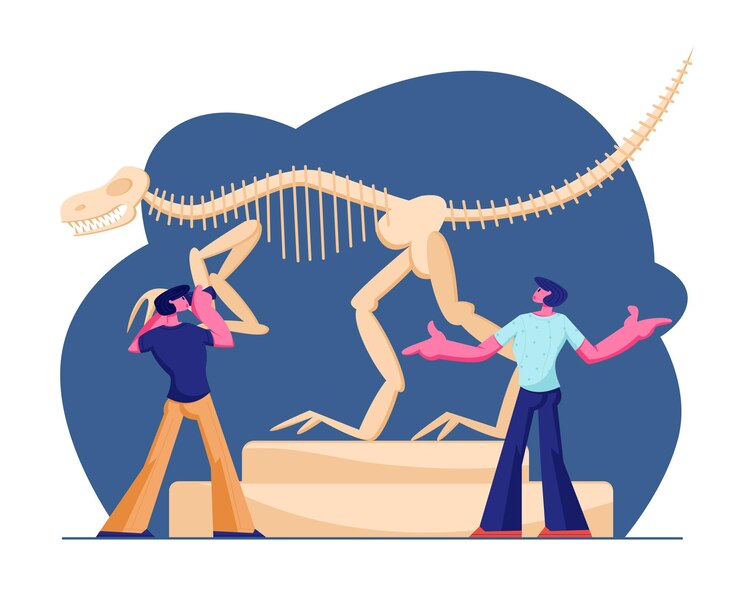 Vector couple of men visiting paleontology museum, making photo of huge tyrannosaur rex bones in museum exhibition