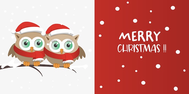 Vector couple of owls with santa claus hat