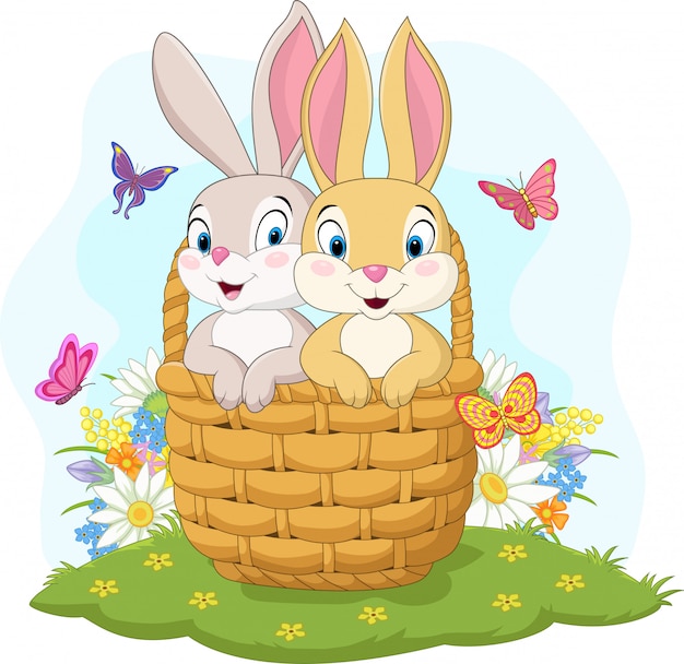 Couple rabbit cartoon in the basket