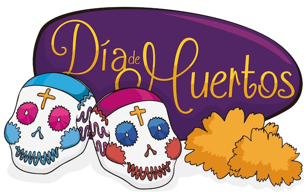 디아 데 무에르토스(Dia de Muertos)를 기념하는 보라색 인사말 표시와 금잔화 꽃이 있는 설탕 두개골 두 개