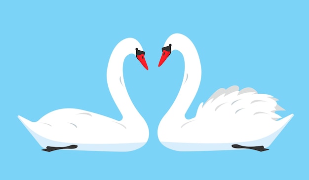 Vettore coppia di icone di uccelli cigno bianco isolato su sfondo blu