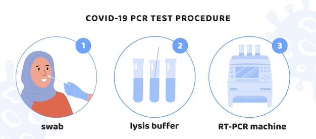 Vector covid-19 test procedure infographic. nurse in latex gloves takes nasal swab test from muslim woman
