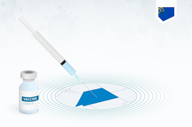 Vaccinazione covid-19 in nevada, illustrazione della vaccinazione contro il coronavirus con flacone di vaccino e iniezione di siringhe nella mappa del nevada.